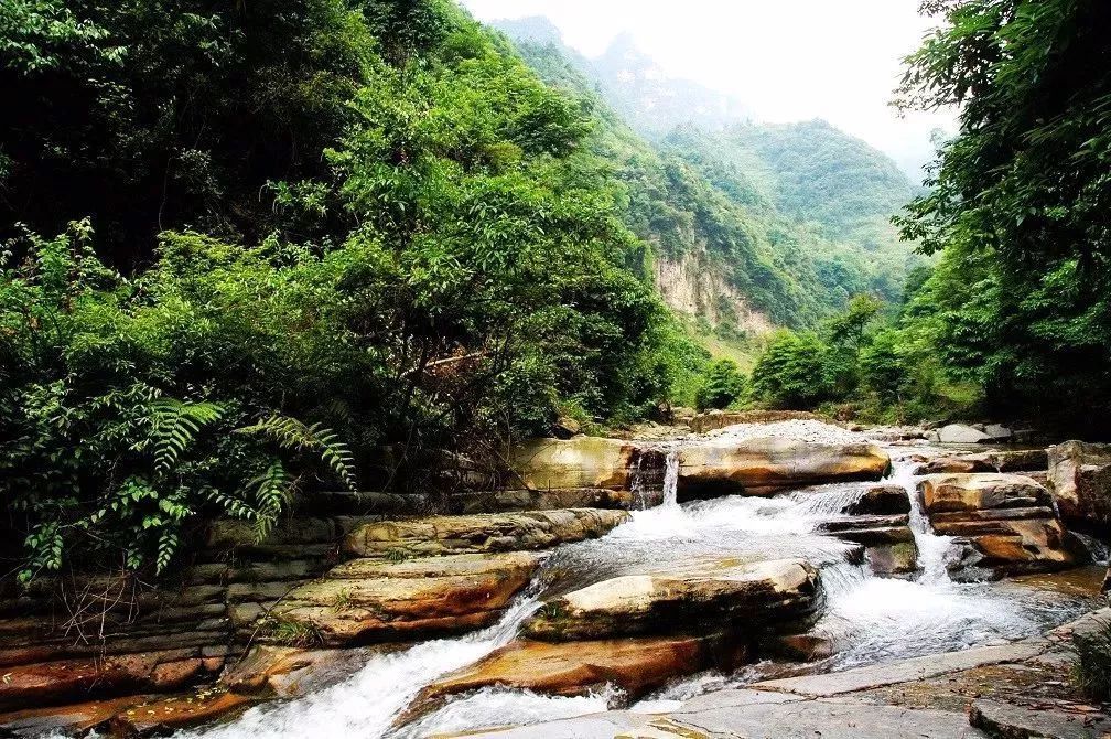 貴州人游貴州| 【23個貴州小眾景點】油杉河風景區